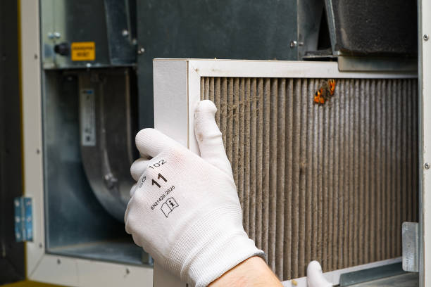 Best Local Air Duct Cleaning Services  in Agua Dulce, CA